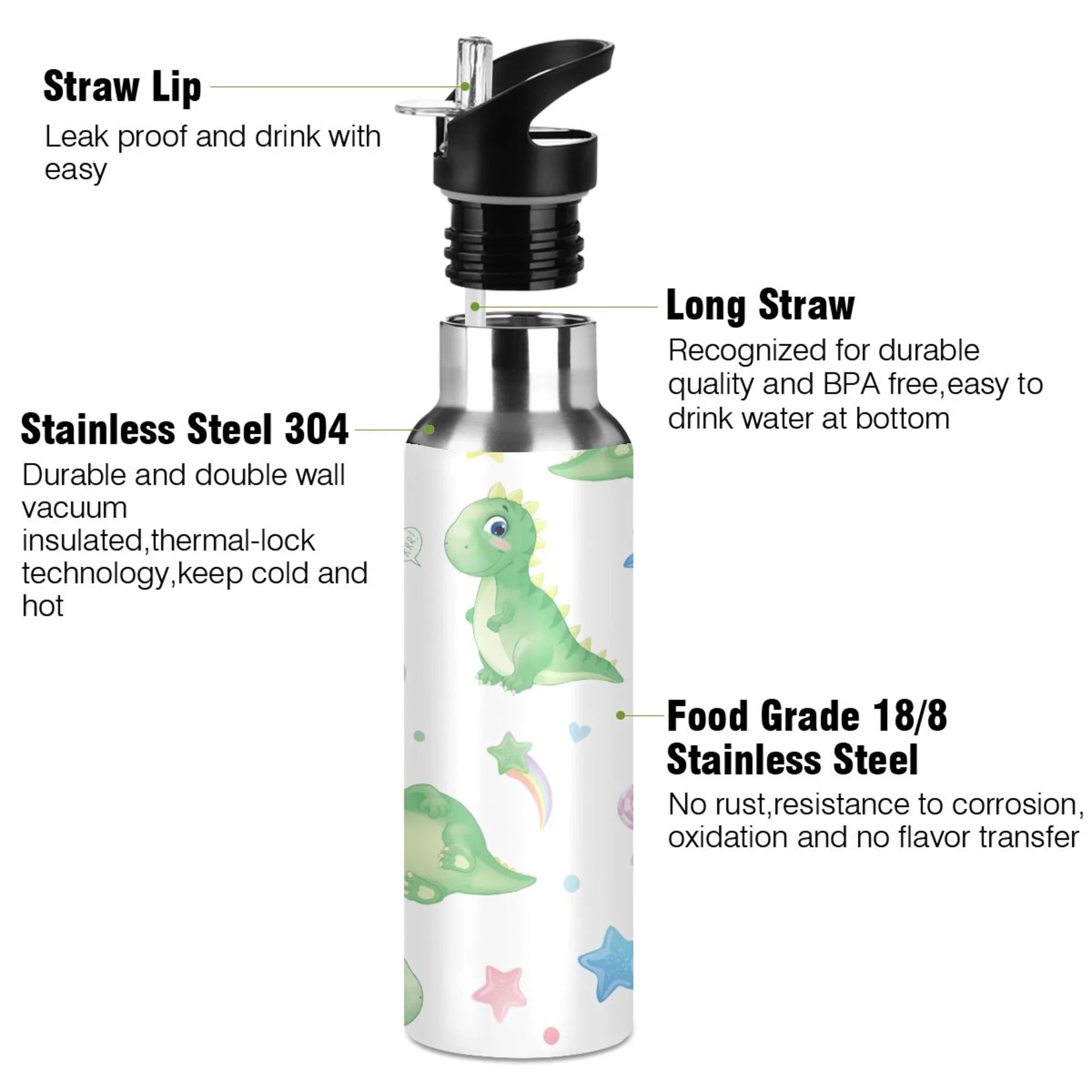 Stainless Steel Vacuum Insulated Water Bottle with Straw Lid 20 OZ X417